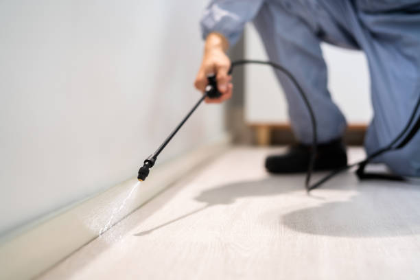 Licensed Pest Control service in Banks, OR - Show Me Pest Control