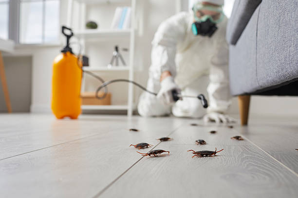 Post-Treatment Bed Bug Interceptor Monitoring in Banks