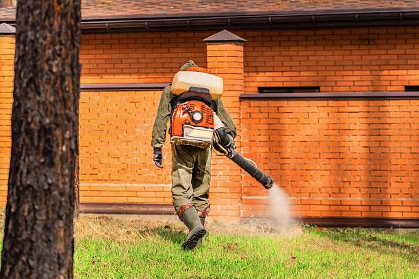 Bed Bug Clearance Verification and Documentation in Banks